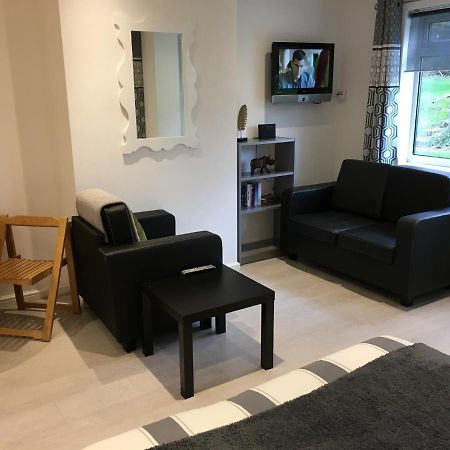 Spacious Ground Floor Studio Flat - Easy Access To Stansted Airport, London And Cambridge Apartment Bishop's Stortford Bagian luar foto